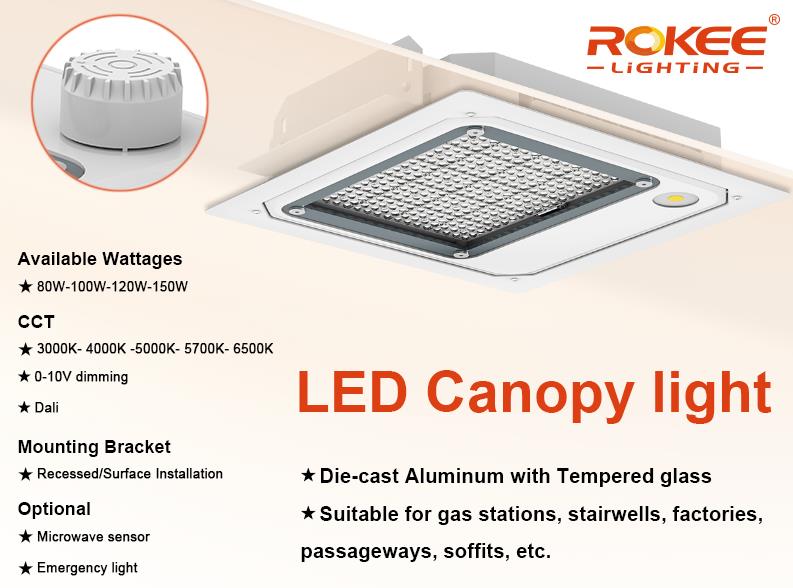 Canopy lighting-Rokee.jpg
